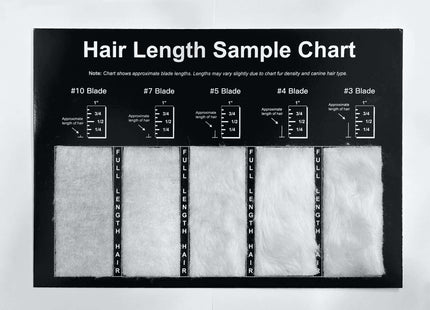 Hair Length Sample Chart