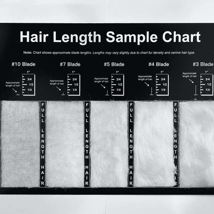 Hair Length Sample Chart