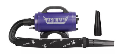 Aeolian Purple Pro Single Motor Force Dryer