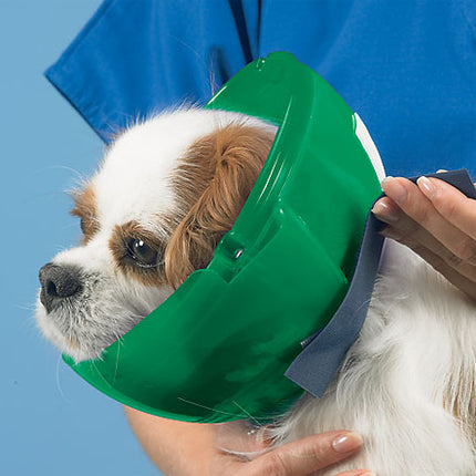 E-Collar - For Cats & Small Dogs