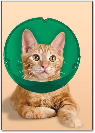 E-Collar - For Cats & Small Dogs