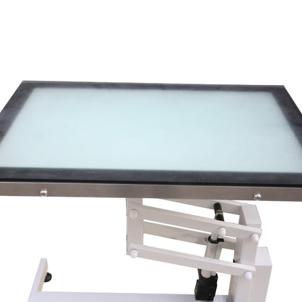 Pet-Agree Economy LED Lighted Electric Table - 36"