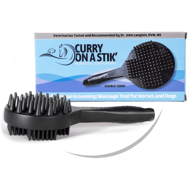 CURRY ON A STIK THERAPEUTIC CURRY BRUSH