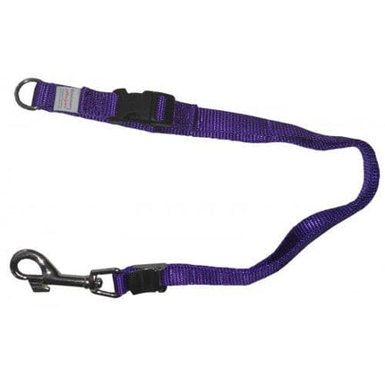 Groomers Helper 5-8" Professional Safety Loop - Purple