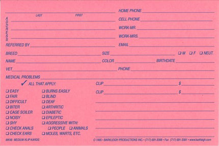 Medium Klip Card 4x6 Pink - Qty 100