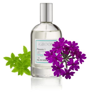 iGroom Pleasia 1 Perfume - 100ml