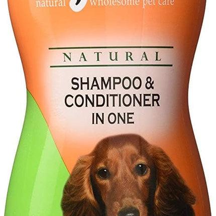 Shampoo & Conditioner In One - 12 oz