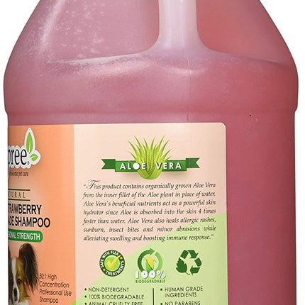 Strawberry Lemonade Shampoo - Gallon