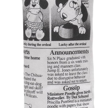 Daily Fetch Newspaper With Squeaker