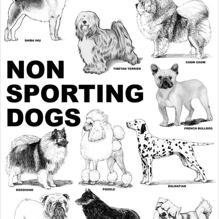 Breed Posters - Non Sporting Dogs (18" x 24")