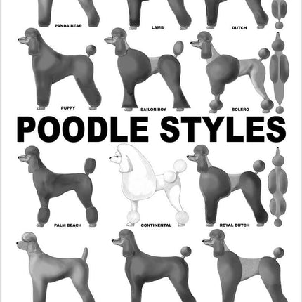 Breed Posters - Poodle Fashions (18" x 24")