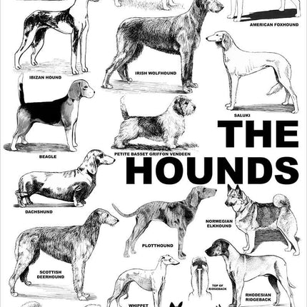 Breed Posters - The Hounds (18" x 36")