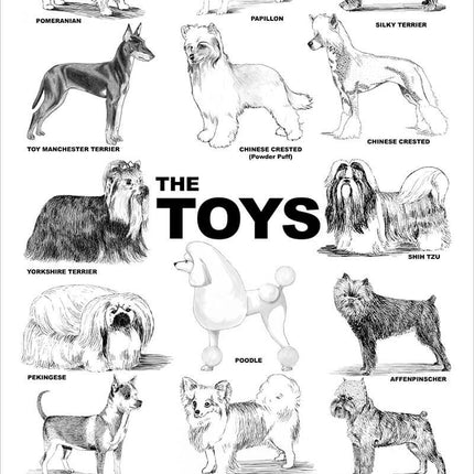 Breed Posters - The Toys (18" x 36")
