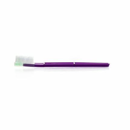Pet-Agree Pre-filled Disposable Toothbrushes, Mint Flavor, 50 Pack