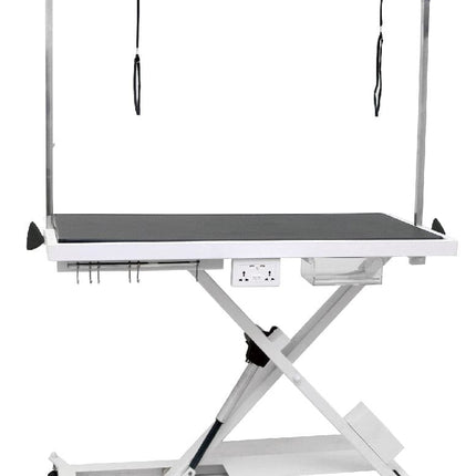 Pet-Agree X-Style Electric Lifting Table - 50" Top